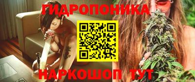 бошки Гатчина