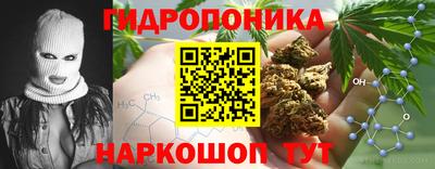 jwh Гусев