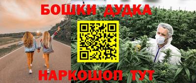 бошки Гатчина